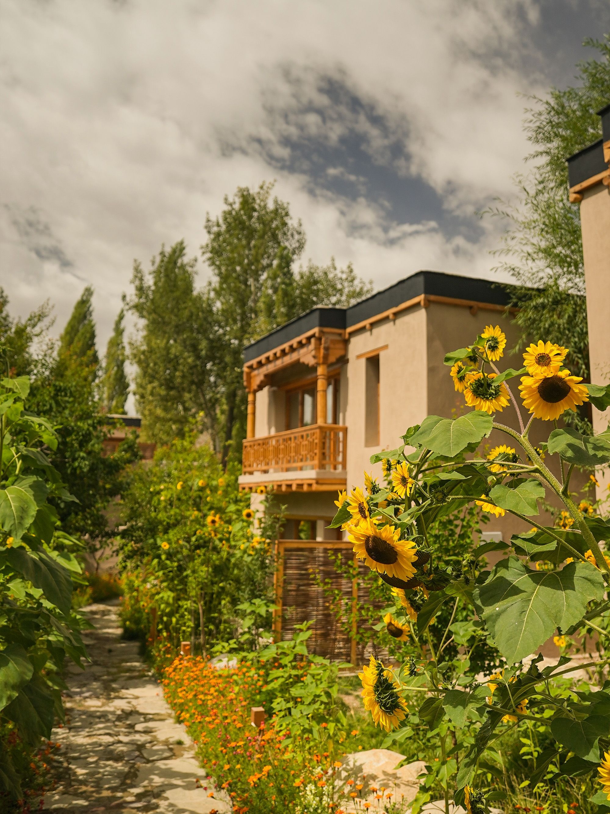 Dolkhar Ladakh The Nod