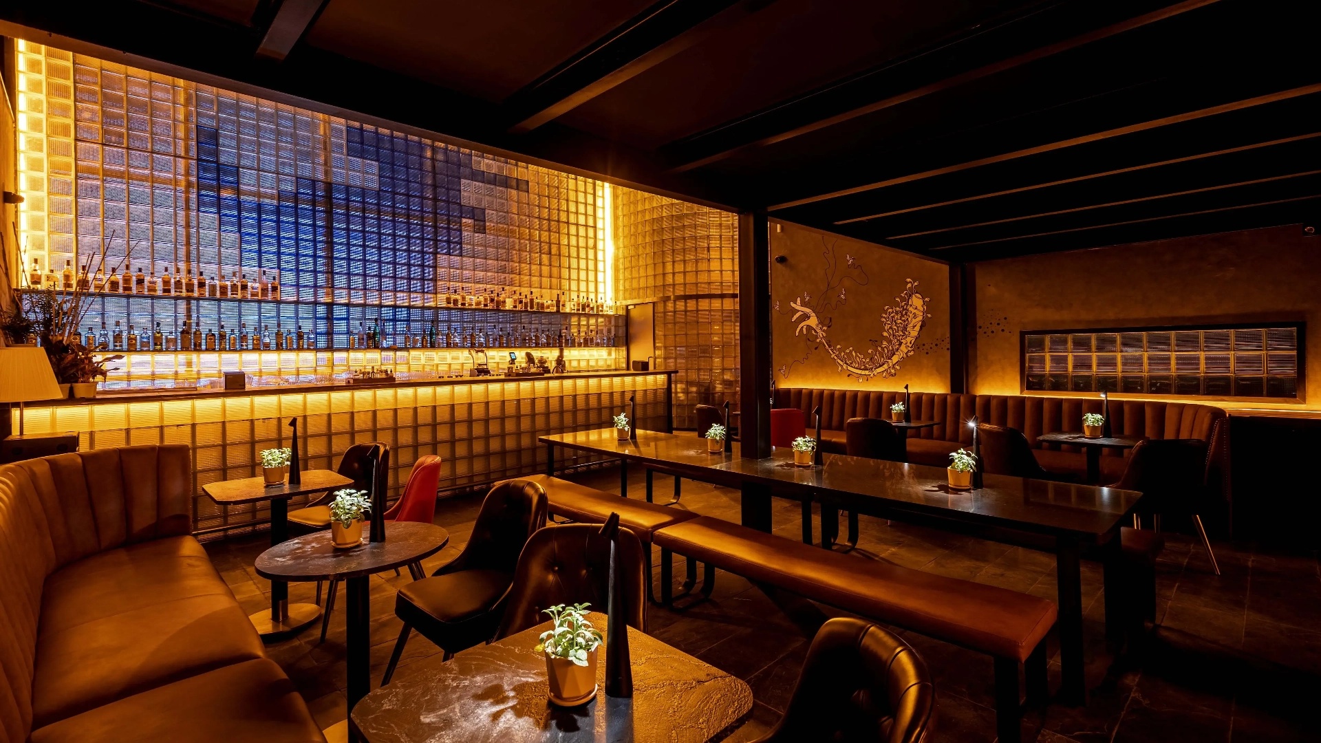 403 Forbidden, Bengaluru 