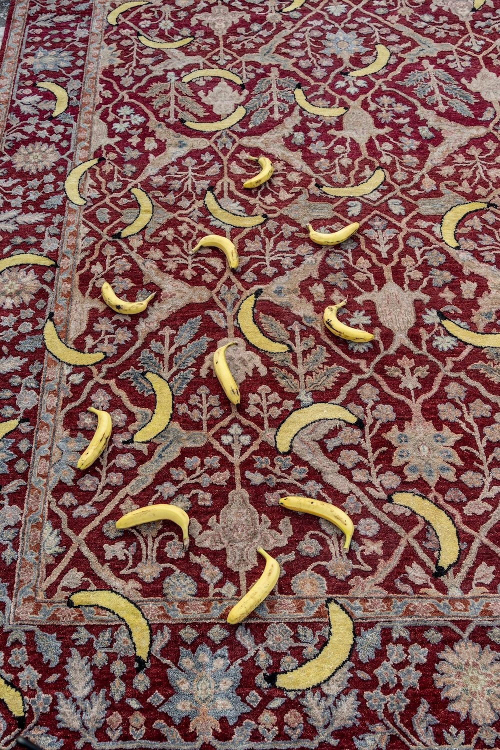 Banana Rug Nod Mag