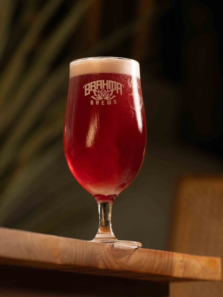 Ayurveda craft beer