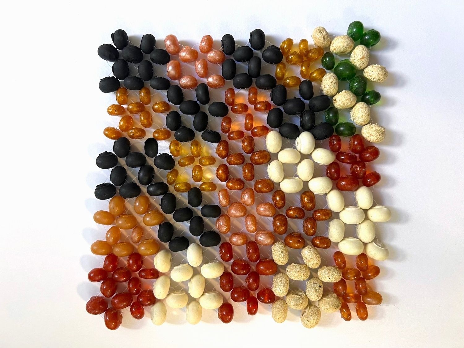 Cellsense Bio algae beads 