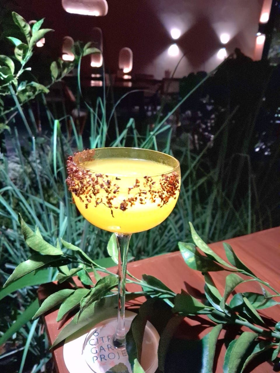 Chapda Chutney Picante Citrus Garden Project The Nod Mag