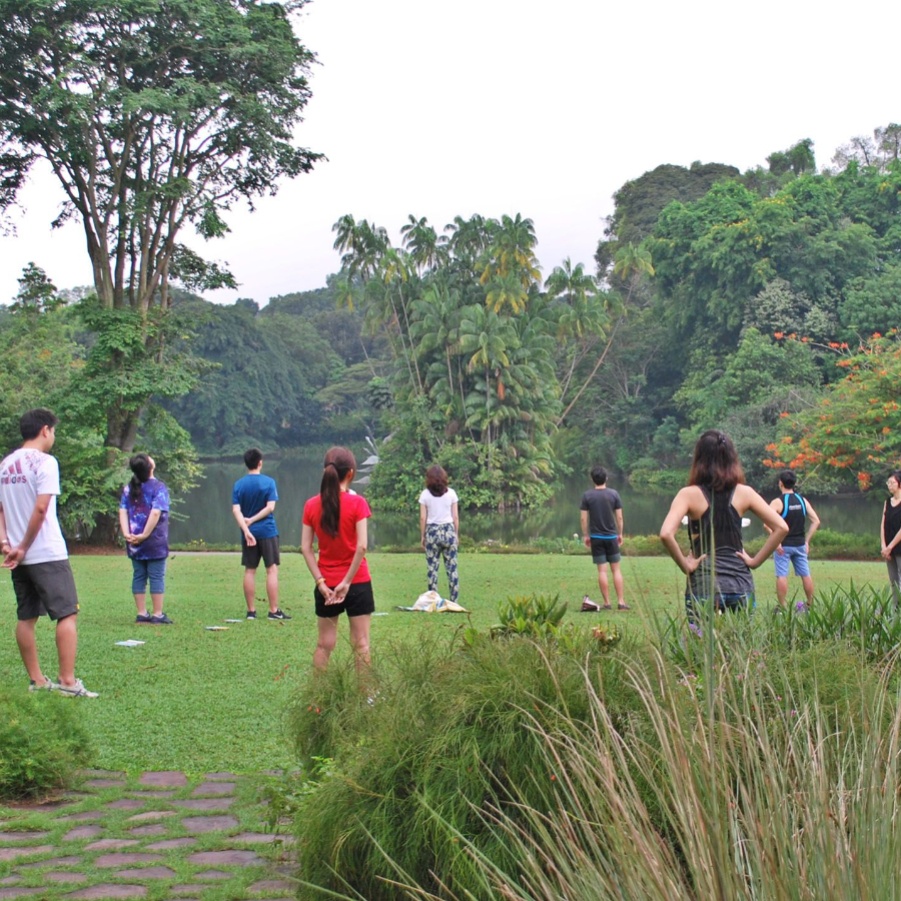 A group of people in an open space in a forest in Singapore