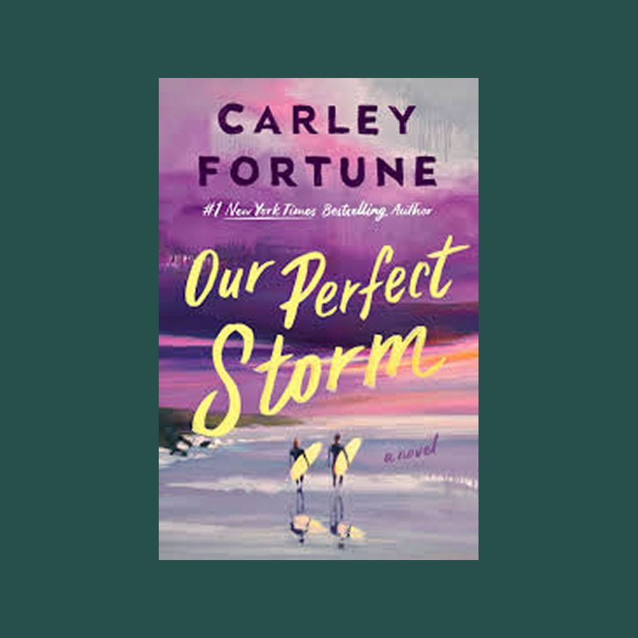 'Our Perfect Storm' by Carley Fortune