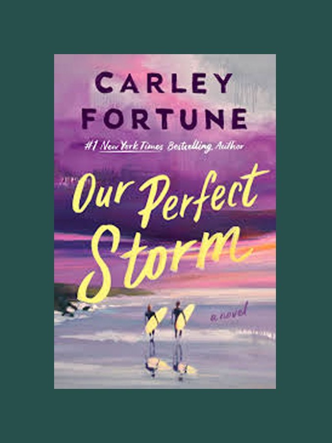'Our Perfect Storm' by Carley Fortune