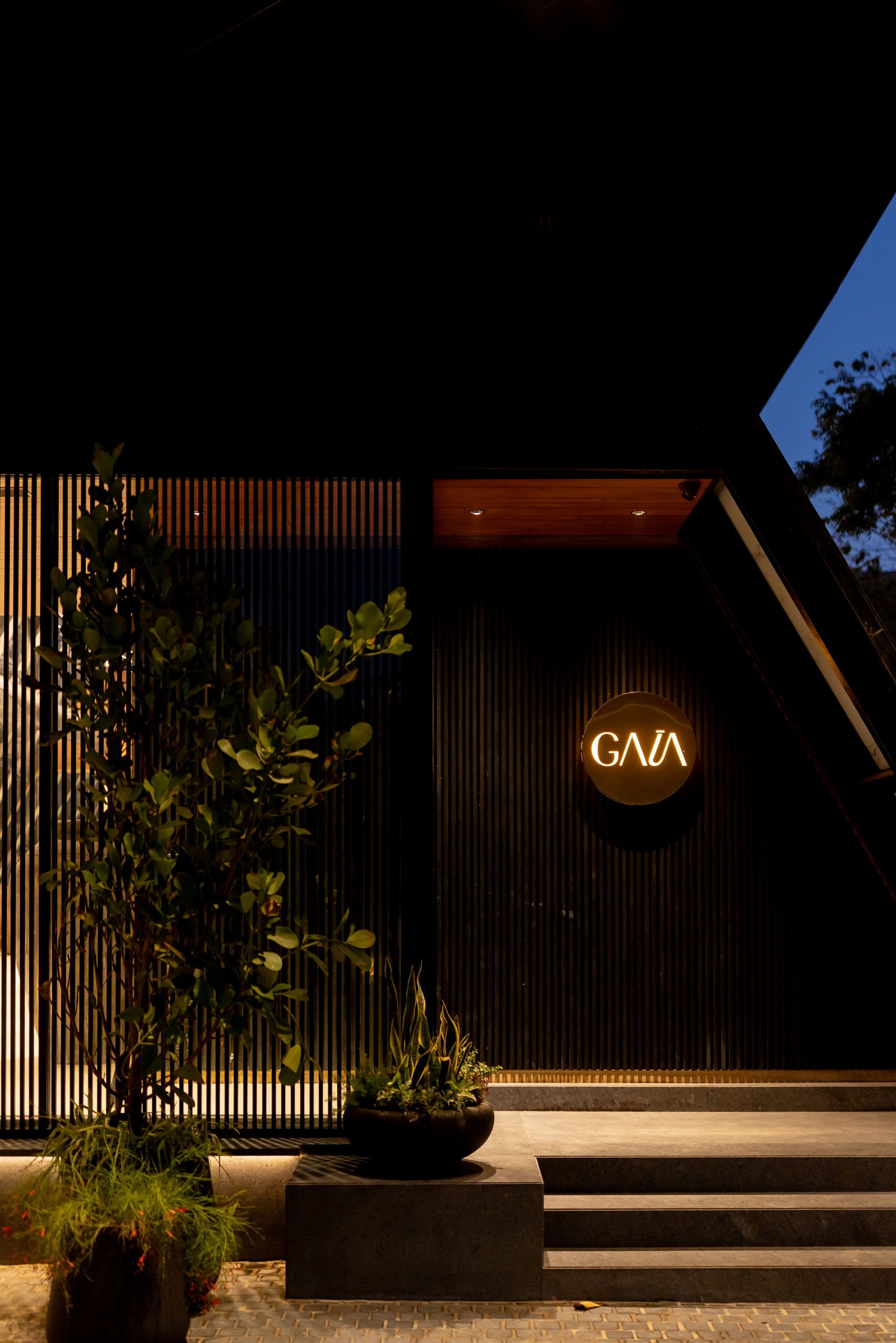 Details from inside Gaia, Ahmedabad