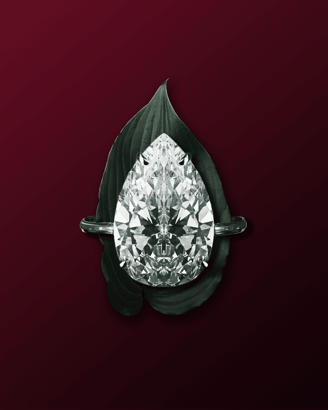 Kantilal Chhotalal ring