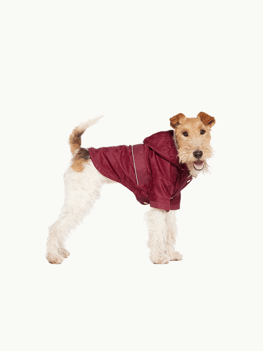 Gucci Nylon Pet Raincoat