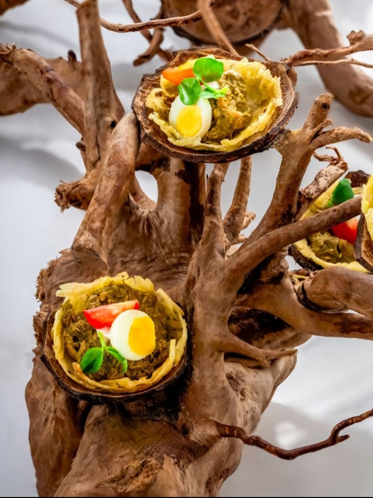 Nest In The Forest, The Nod Mag