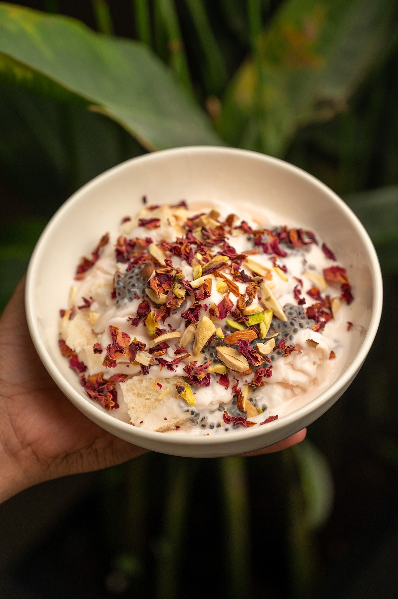 Rajahmundry Frozen Shake Tuya Hyderabad The Nod Mag
