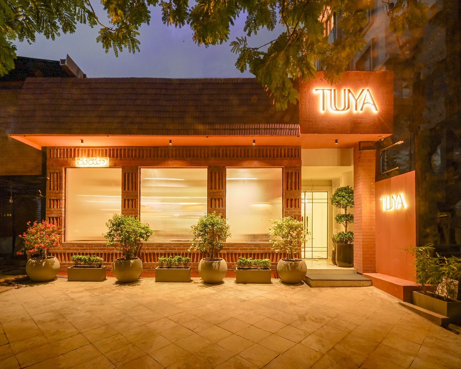 Tuya Ambience, The Nod Mag