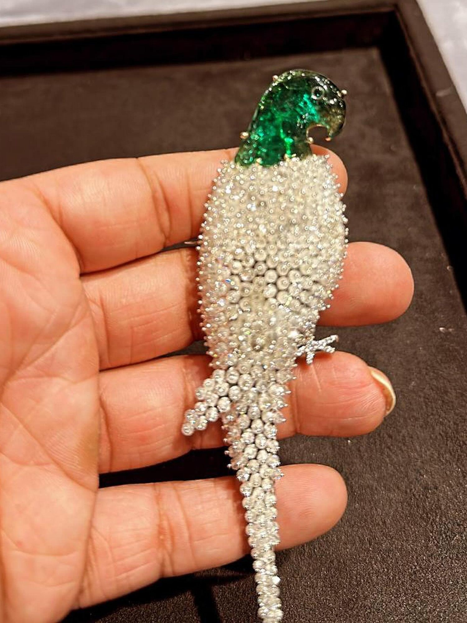 Gems and Jewels, Jodhpur