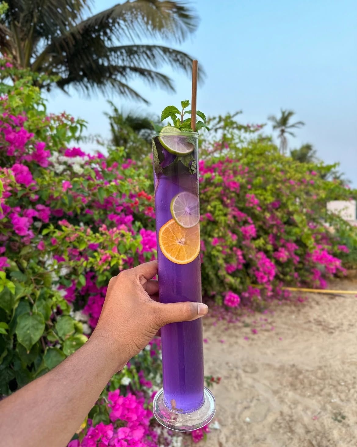 Black Currant Long Island Iced Tea