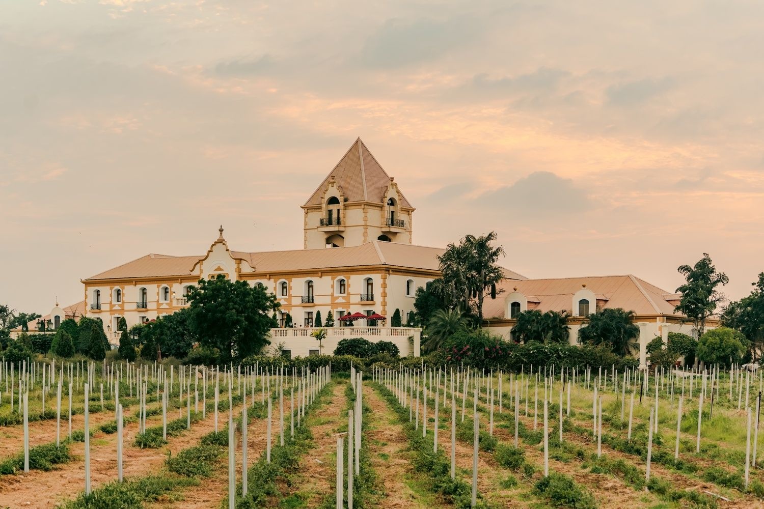 Hotel Irada vineyard
