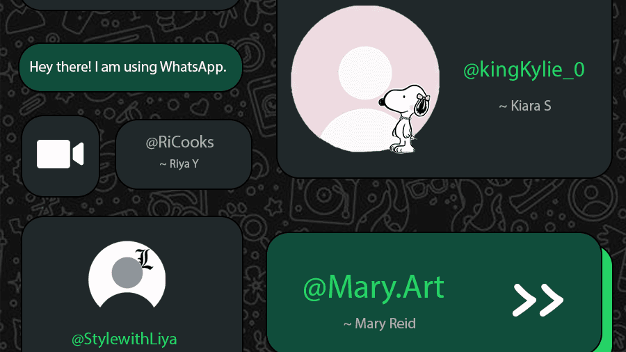 WhatsApp usernames are coming. Should you be worried?