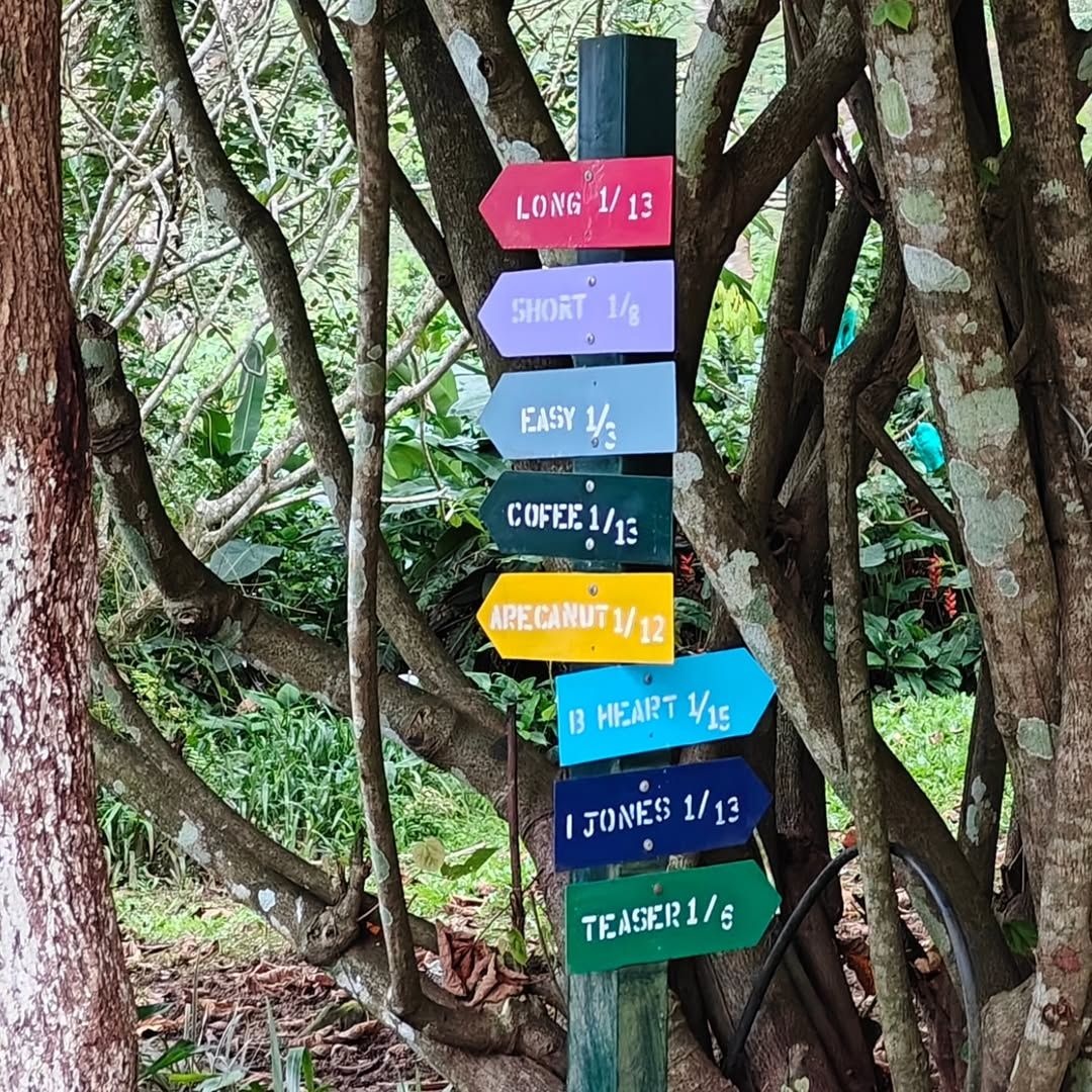 Tranquil Resort Wayanad The Nod