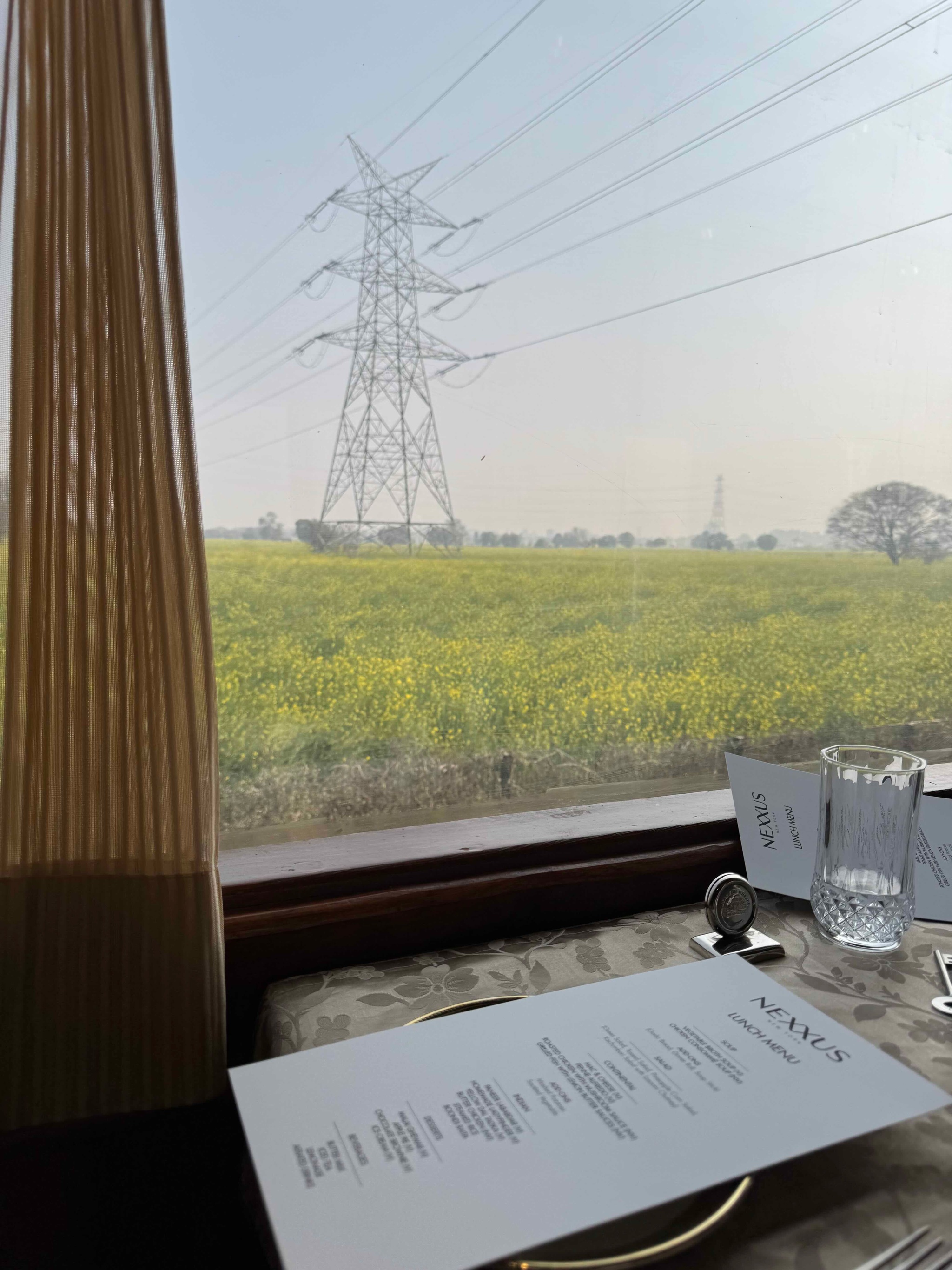 Lunch view on the Palace on Wheels