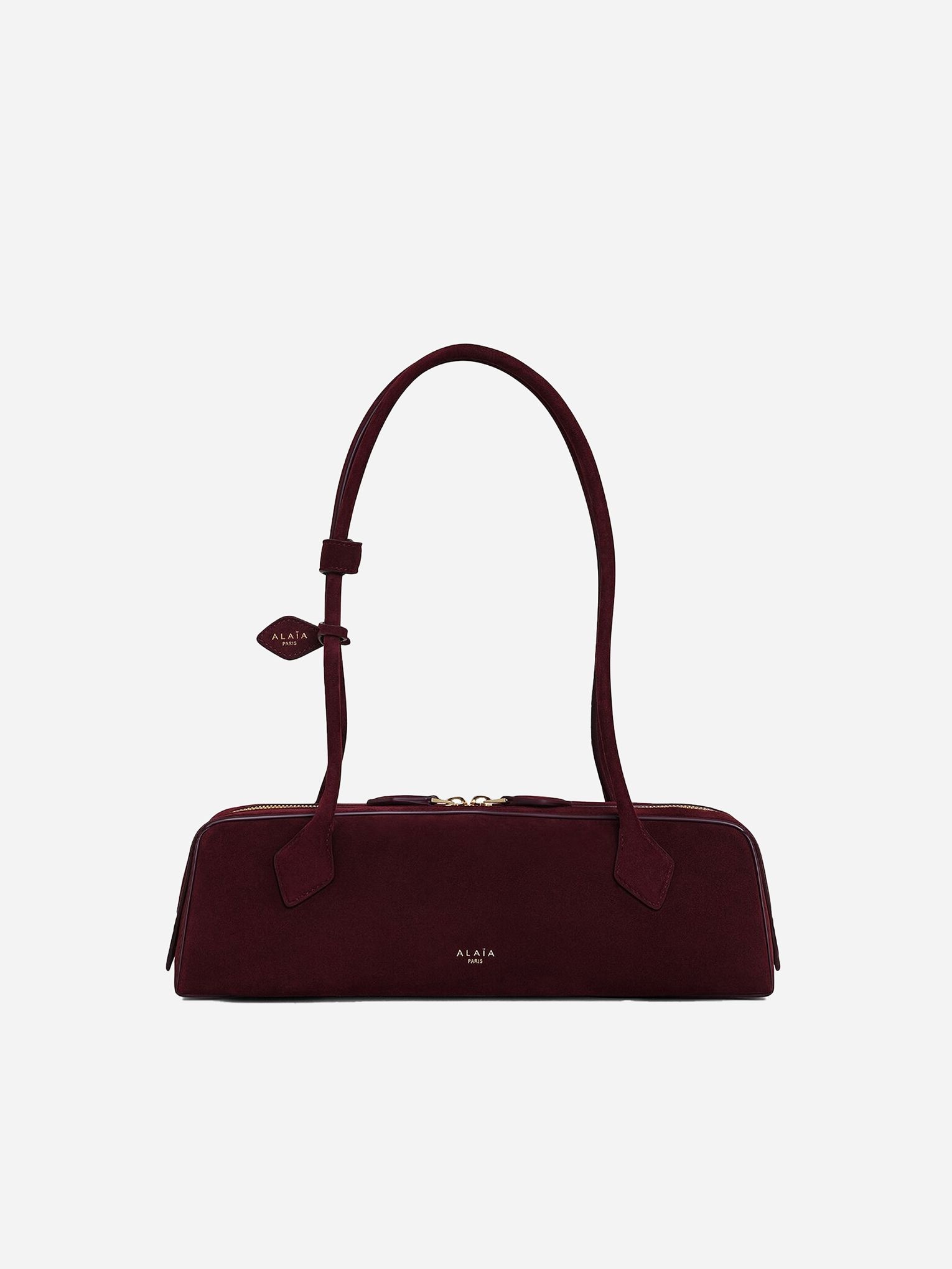 Alaia Le Teckel in Suede