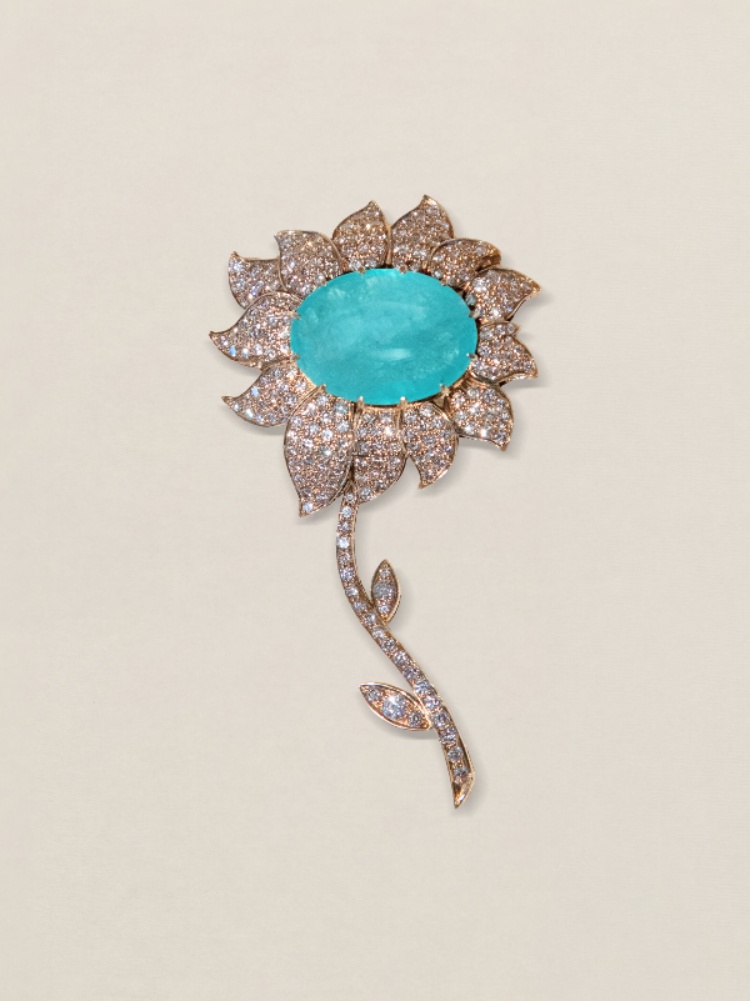 A Swadesh brooch