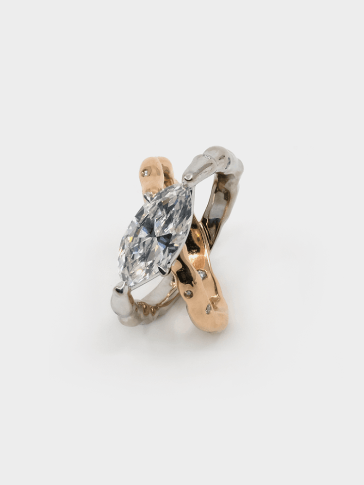 Boletus Sp Cross ring by Studio Renn