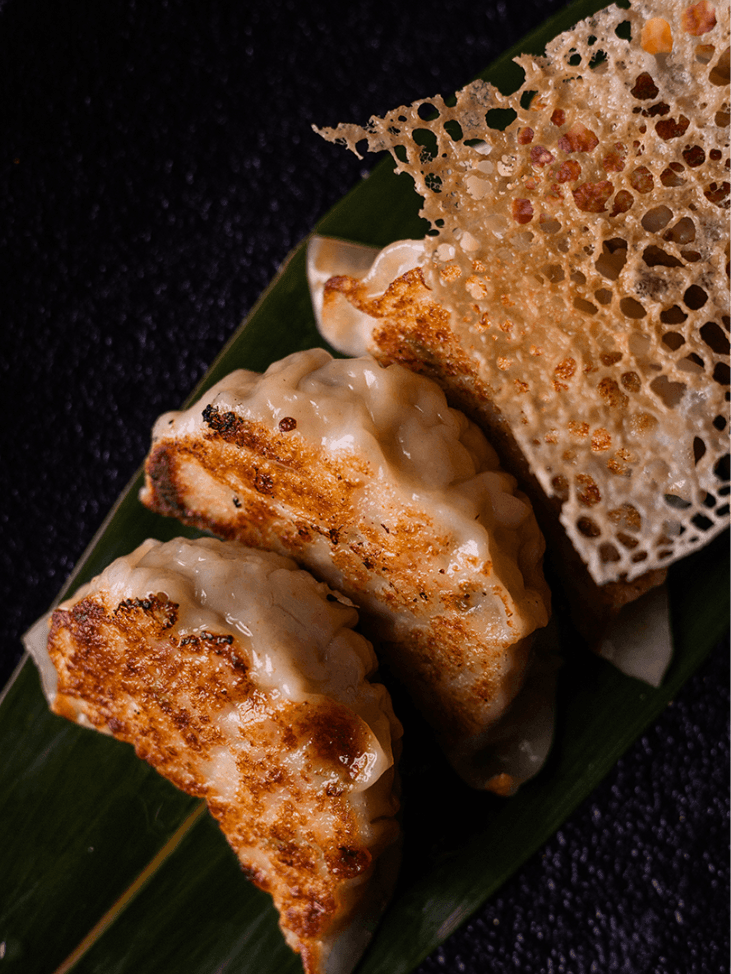 Chicken gyoza