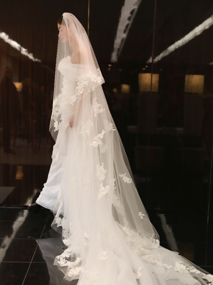 Elie Saab H&M Bridal Gown & Veil