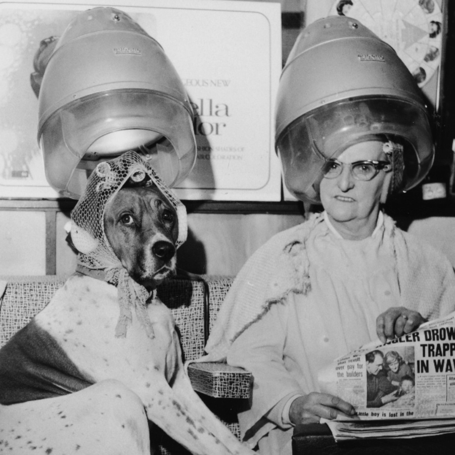 Haircare routine, Feature, The Nod Mag