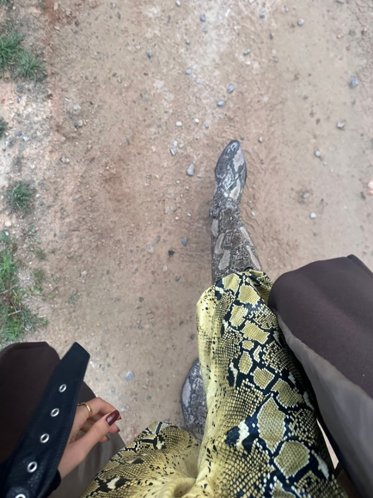 Artist Karimah Hassan's snakeskin boots