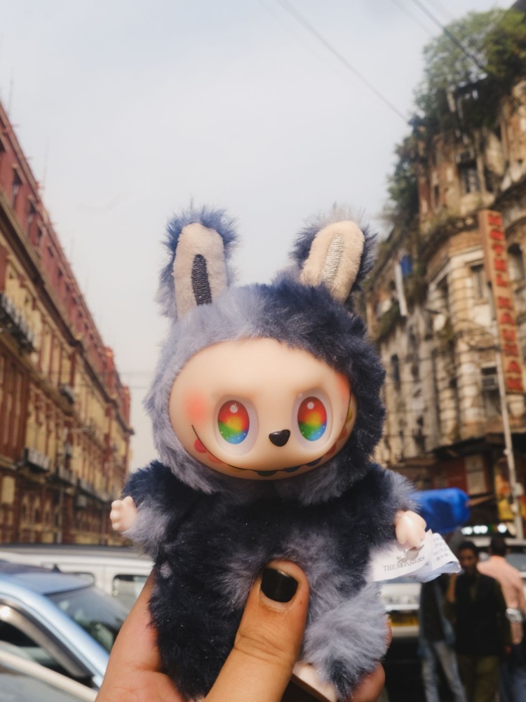 A Lafufu, the counterfeit version of the wildly popular Labubu dolls made by Pop Mart, found in Kolkata