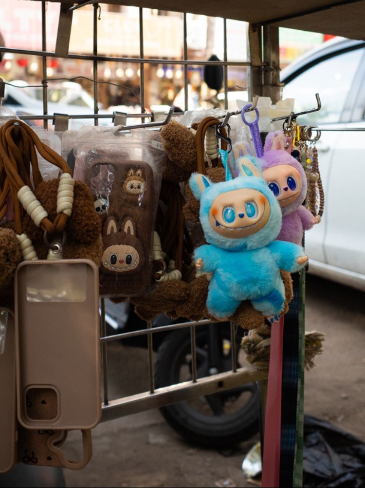 Lafufus, the counterfeit versions of the wildly popular Labubu dolls made by Pop Mart, spotted in New Delhi