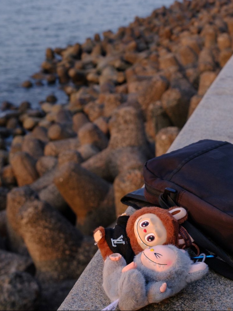 Lafufus spotted on Marine Drive in Mumbai