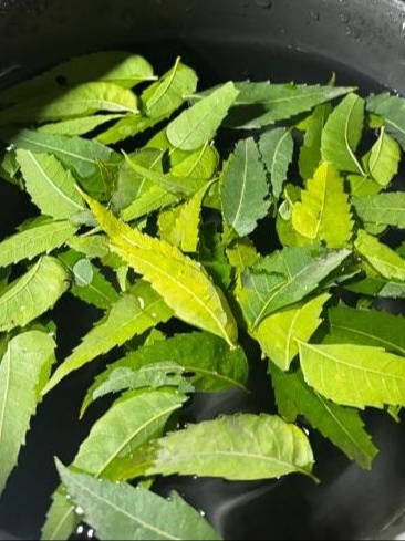 Shelf Life with Navkirat Sodhi: Neem-infused water for the skin and scalp