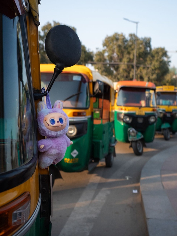 A Lafufu on a rickshaw in New Delhi