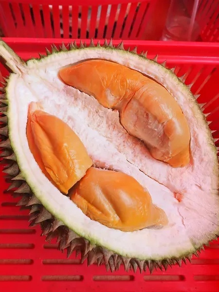 Red Prawn durian