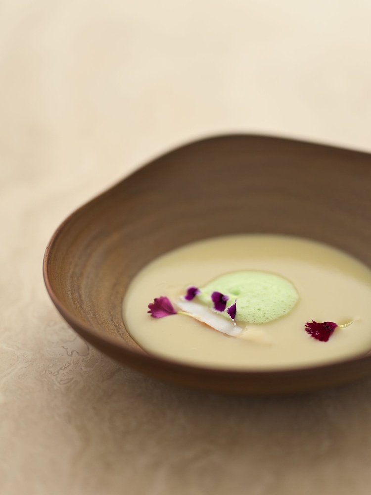 Soup