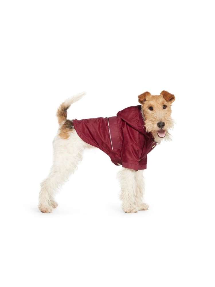 A dog wearing a red nylon raincoat by Gucci