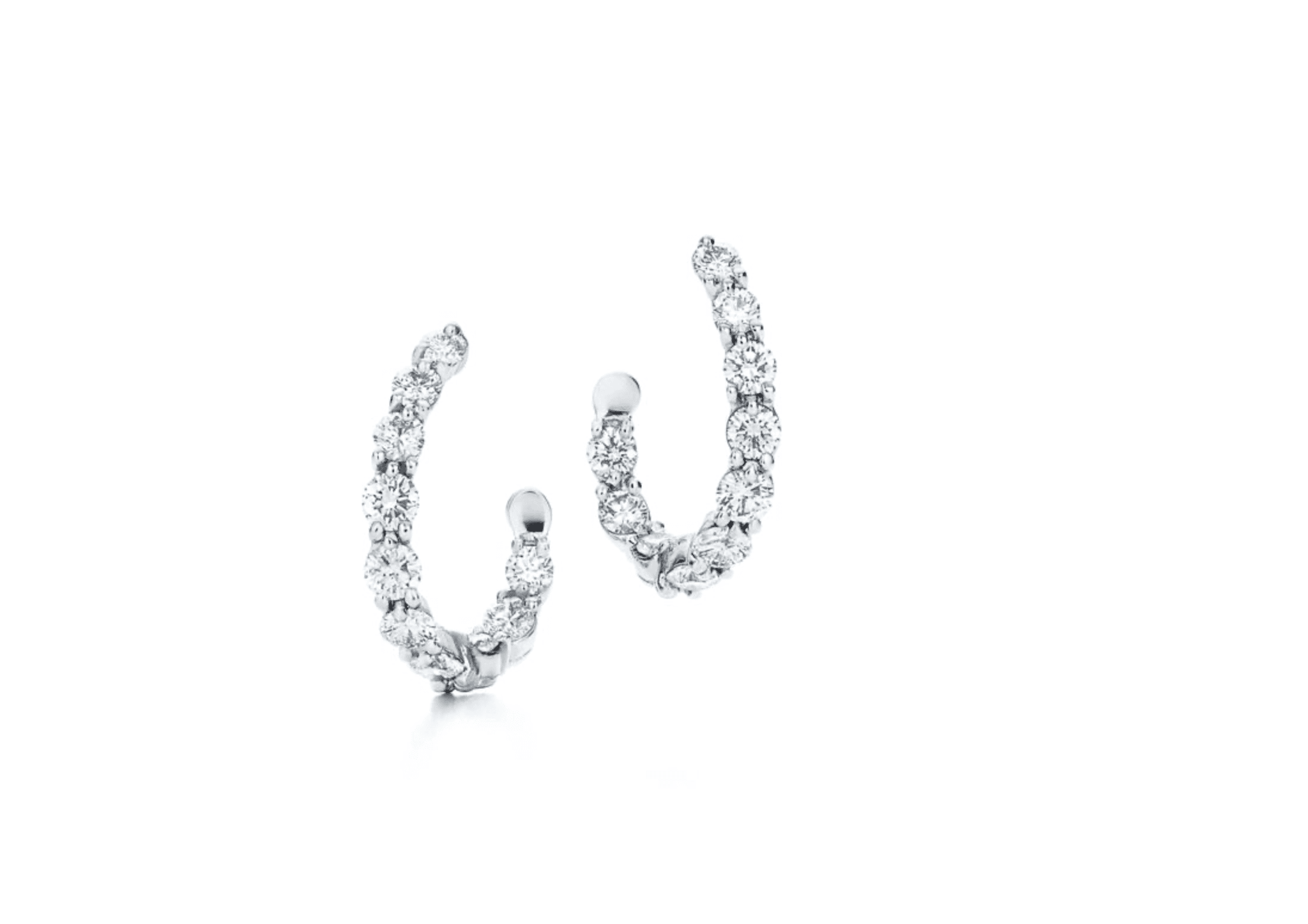 Tiffany & Co earrings