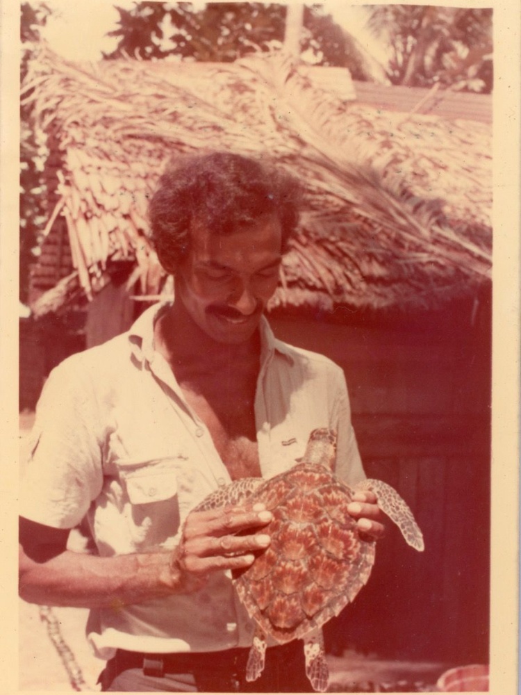 Turtle walker the nod