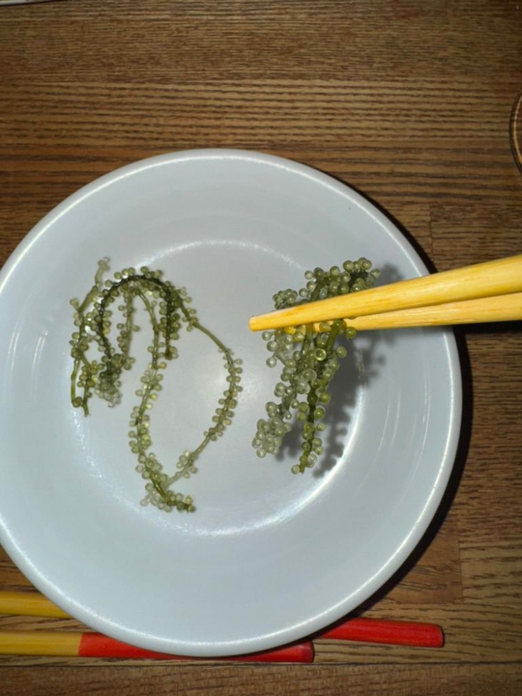 Ruchika Sachdeva sends a postcard from Tokyo