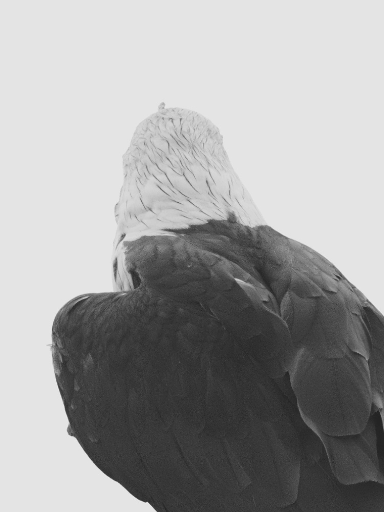 Miller's collection spans painting, ceramics, photography, and printmaking, including artist Robert Zhao's works
