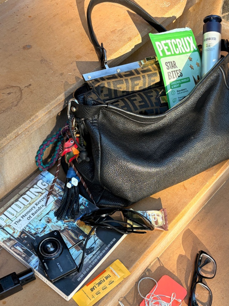 Inside Dheeraj Reddy's bag