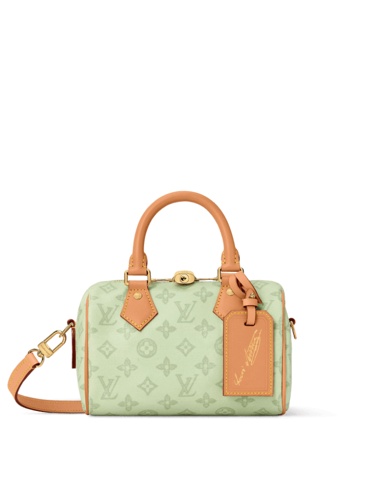 Louis Vuitton Speedy Bandoulière