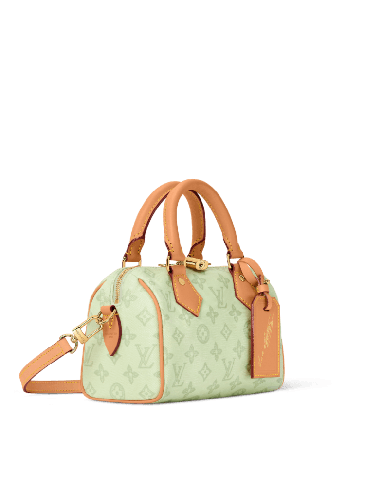 Louis Vuitton Speedy Bandoulière