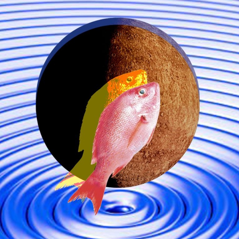 mercury in retrograde feb 2026 the nod mag