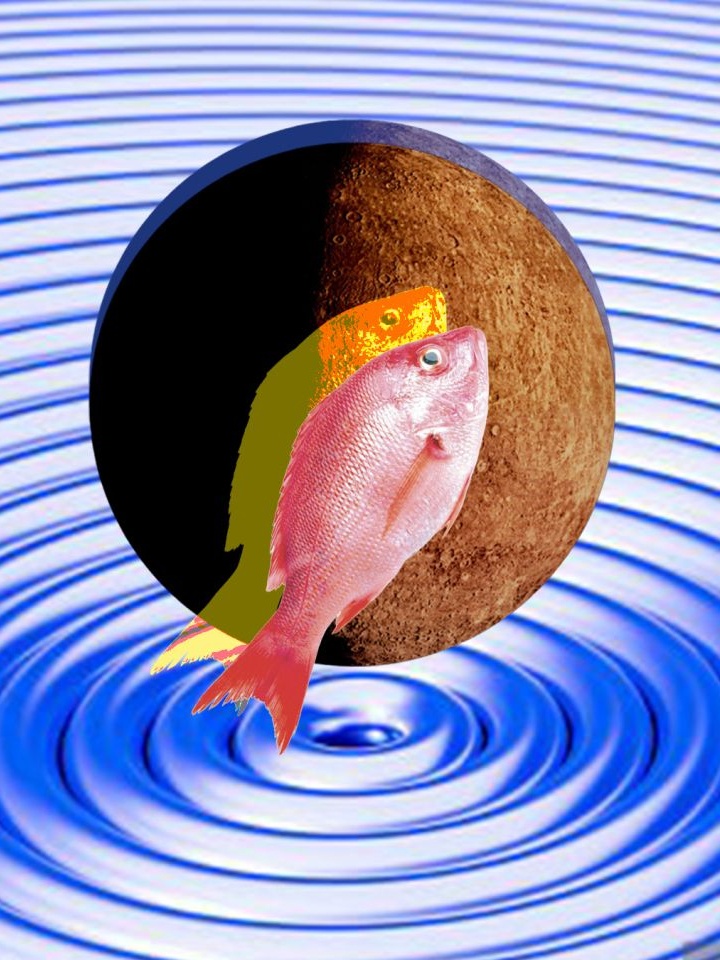 mercury in retrograde feb 2026 the nod mag