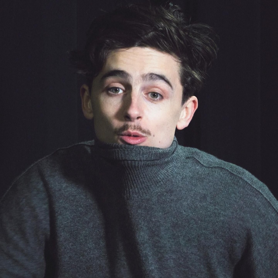 Timothee Chalamet thin moustache bob dylan