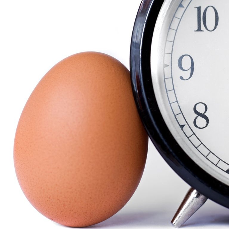 An egg and clock side by side to represent trimester zero