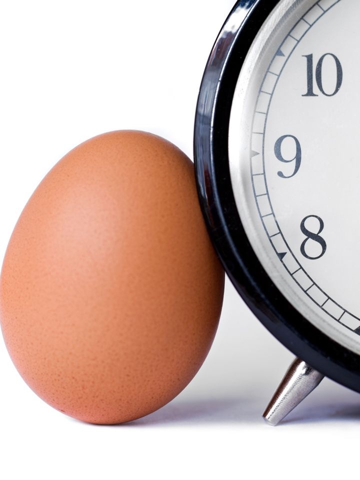 An egg and clock side by side to represent trimester zero